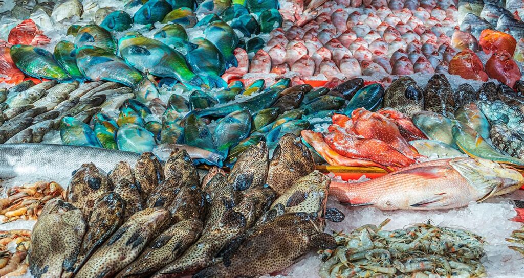 abdde et muamelesi goren tek balik N3mwAzDm