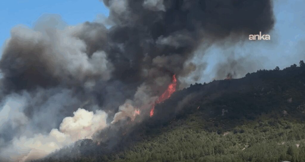 canakkalenin ardindan manisada da yangin cikti iVCxL9Ua