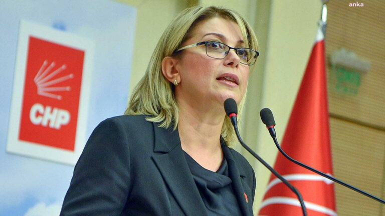chpli-asu-kayadan-komsu-anne-projesine-tepki-iktidar-cocuklarin-yetistirilmesini-komsulara-devretmek-istiyor-KpF8jcK4.jpg
