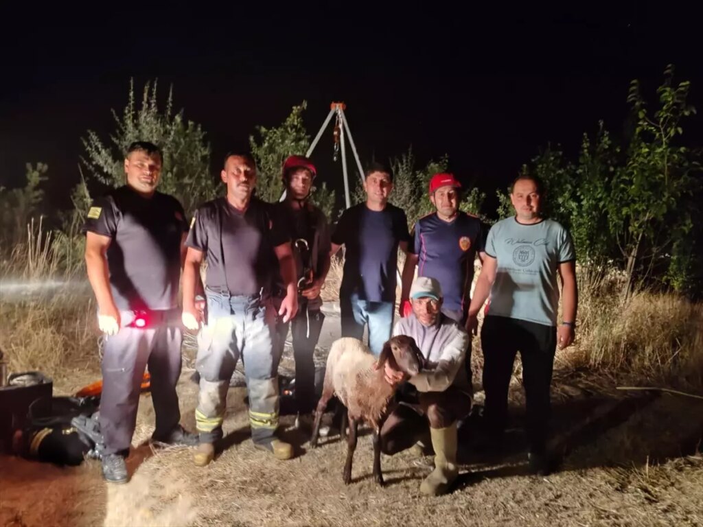 konyada kuyuya dusen koyun kurtarildi ghhafDgt