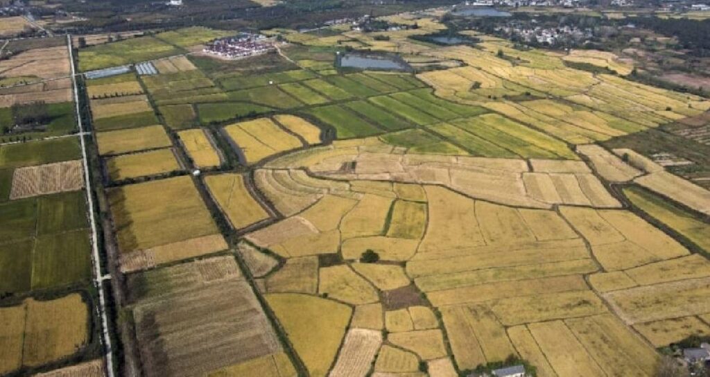 tokiden 30 ilde buyuk arsa firsat 307 bin liradan basliyor SgPye5uq