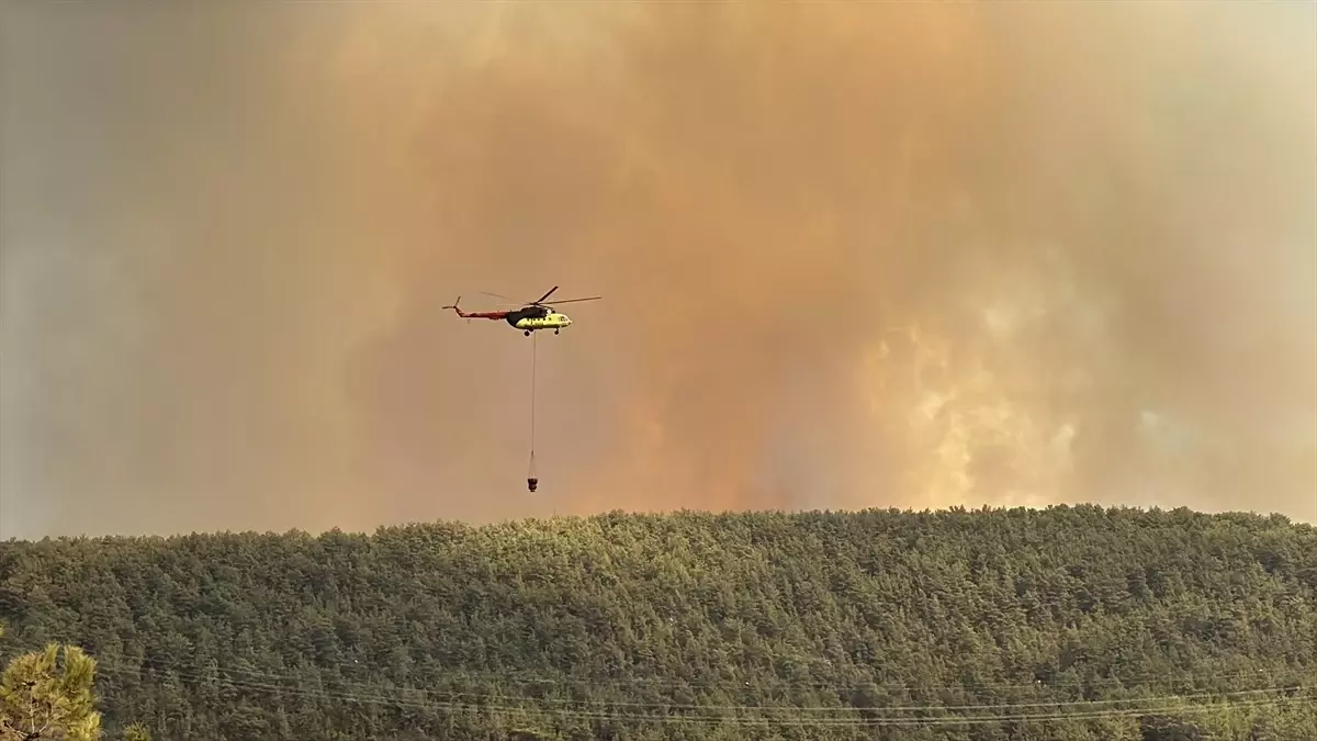 alanyada orman yangini mahalle bosaltildi l2v69MZM