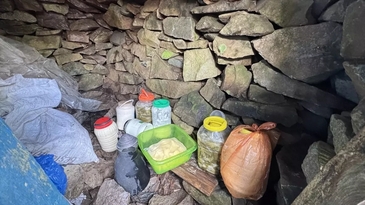 artvindeki dogal buzhaneler YgalGaz5