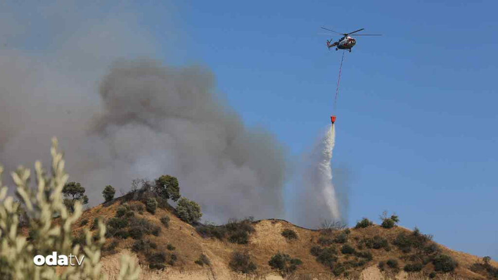 aydinda orman yangini E6t6Cmim