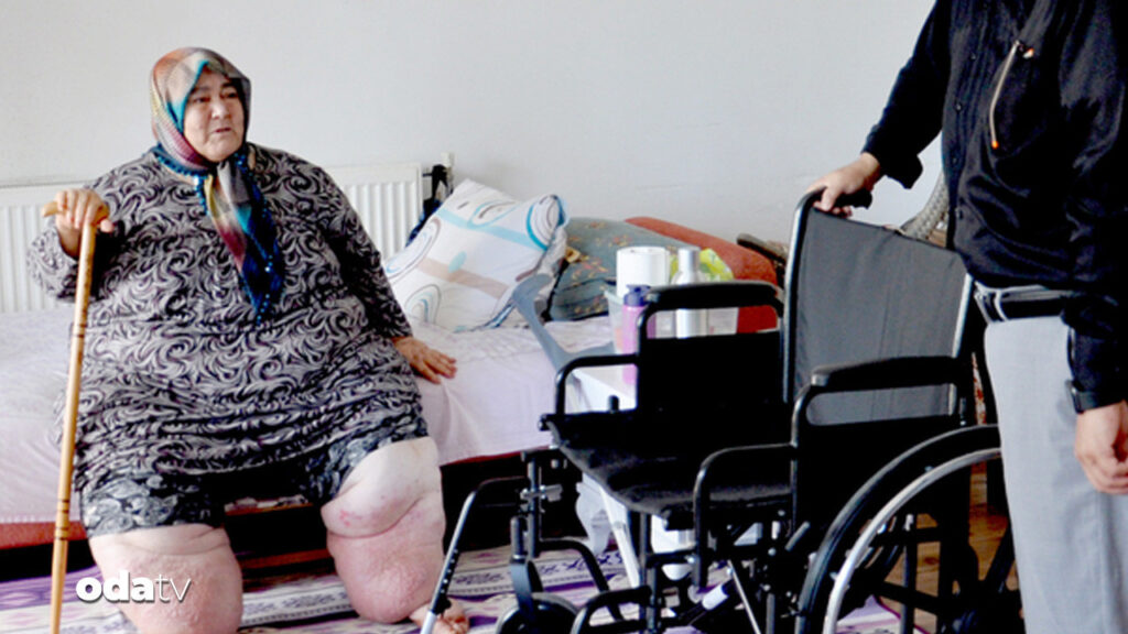 fil hastasi gulere yeni umut tekerlekli sandalye aShu3H4v