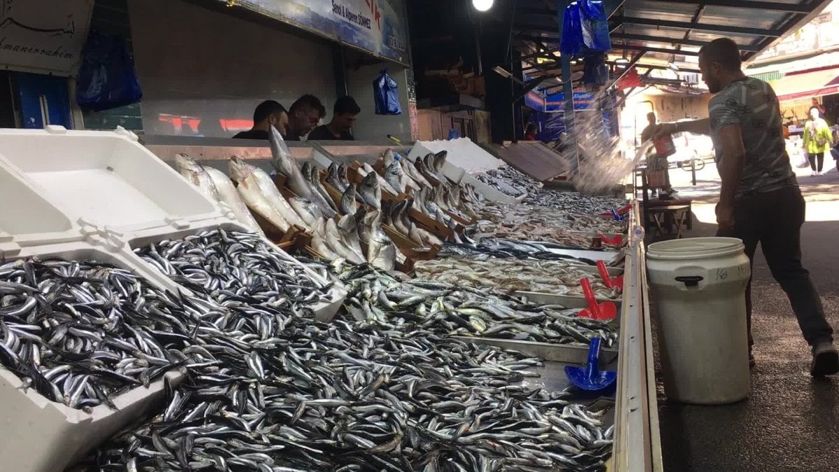 hamsiden iyi haber bereketiyle geliyor iste hamsinin satis fiyati yY25tQ1l