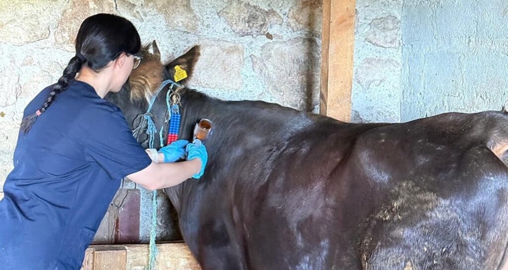 kastamonuda sap alarmi 69 koy karantinaya alindi R1JKLp2f