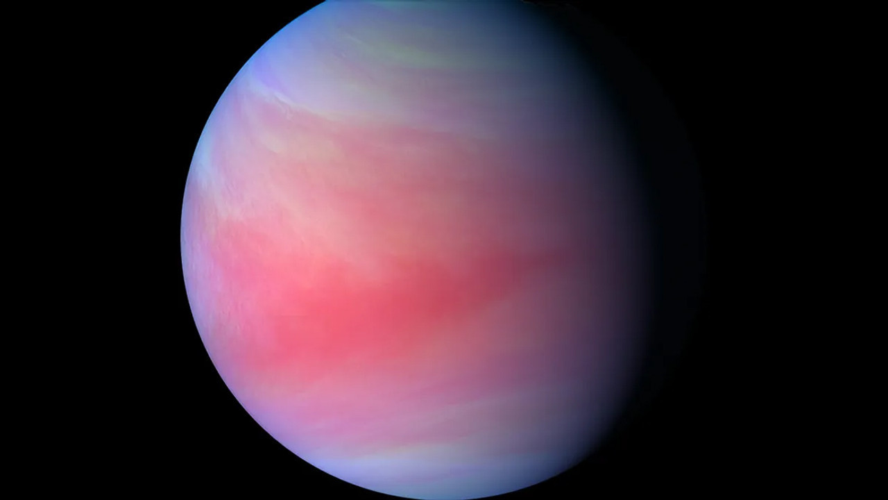 venusun tek sakini akatsuki icin yolun sonu geldi PiJ9QmzJ