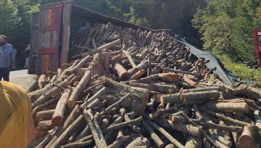 viraji donemeyenkamyon devrildi 21 ton tomruk yola sacildi rEwN1Vvy