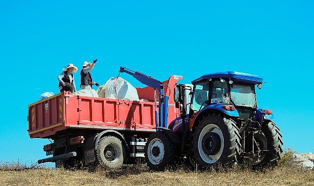 1140 dekarlik alanda biberiye zamani 6E7xQ9PJ