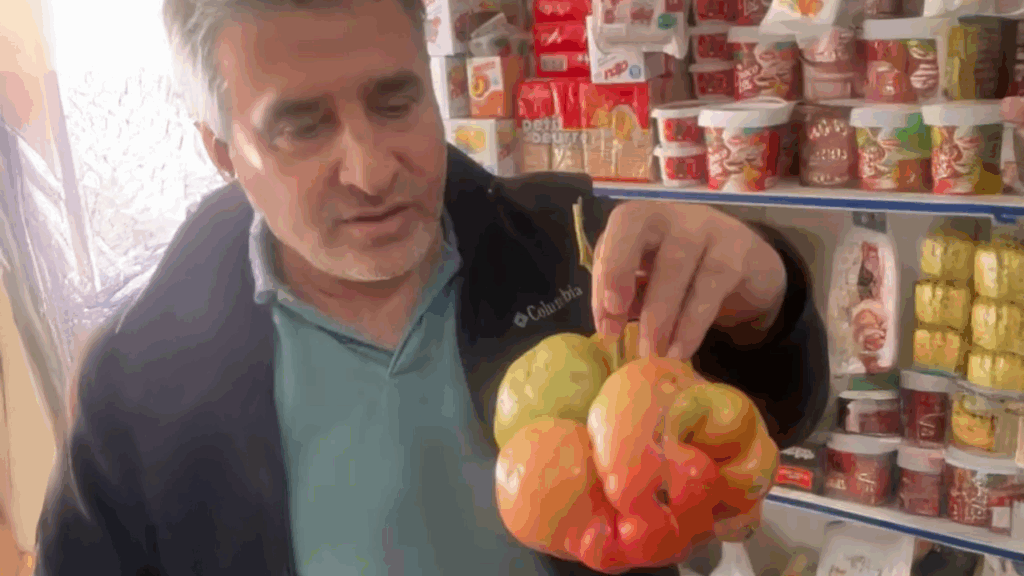 gorenler sasirdi domates degil sanki karpuz cUQA3rWZ.png