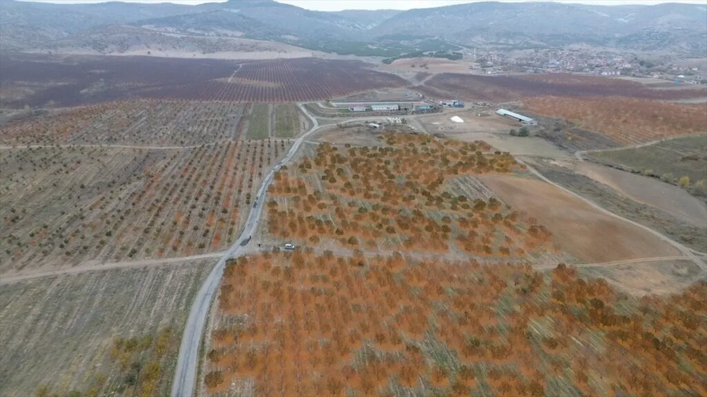 Yozgat’ta Ortak Meyve Bahçesi İstihdam Sağlıyor